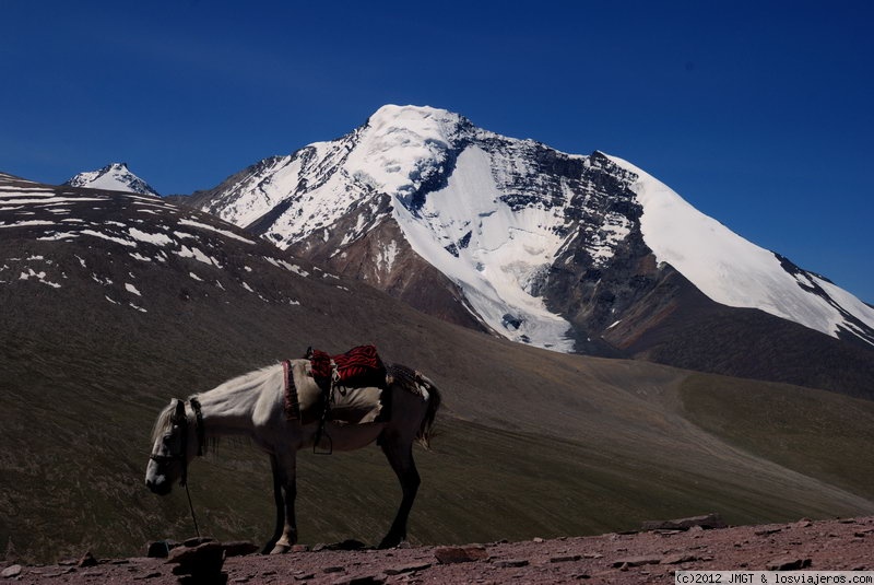 Foro de India: Ladakh, India