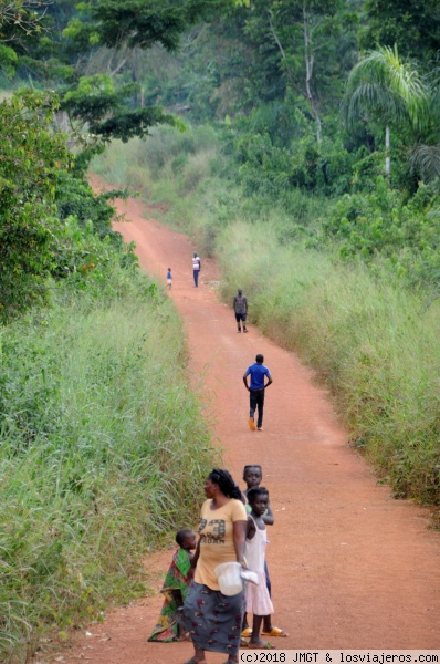 Carreteras del COngo
Carreteras del Congo, en la zona de Likouala
