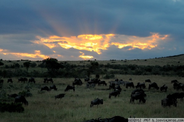 Puesta de sol
Puesta de sol en masai mara
