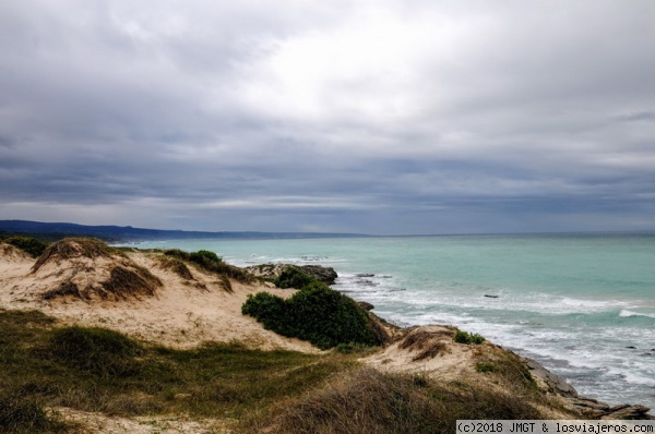 De Hoop reserve
De Hoop Reserve. Avistamiento de ballenas y dunas costeras
