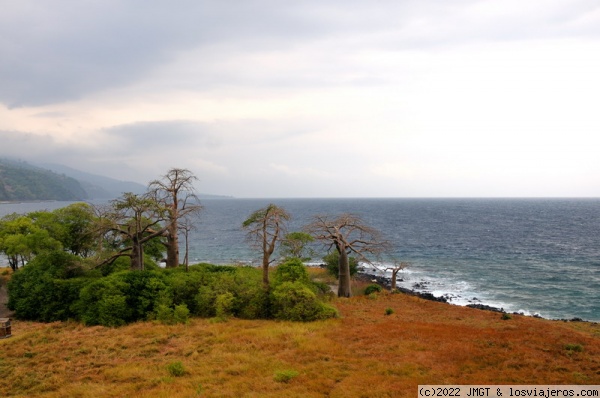 Lagoa azul, Sao Tome
Baobas en Lagoa azul, Sao Tome
