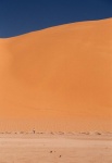 Encarando la duna
Argelia, Duna, tadrart