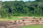 RELATO 3: Con la gente al natural, Contradictoriamente Feliz en CentroÁfrica