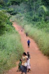 Carreteras del COngo
Rio, Likouala, Congo