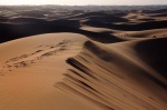 Erg Cheggaga
Dunas Cheggaga Sahara Marruecos