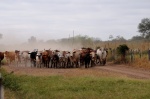 Estancia Iparoma, Chaco, Paraguay
Estancia Iparoma, Chaco, Paraguay