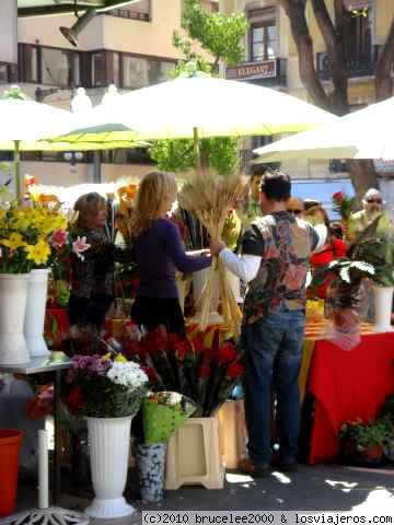 VENTA DE ROSAS - St JORDI
Aunque no es un día festivo, St Jordi es una festividad muy celebrada en toda Catalunya. La tradición de regalr libros y rosas hace que las plazas, ramblas y paseos de los pueblos y ciudades se abarroten de curiosos en busca del regalo mejor indicado para la pareja
