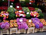 MERCADO DE LAS FLORES EN AMSTERDAM
Amsterdam mercado flores color