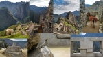 Machu Picchu y sus animales
Machu Picchu; Llama