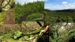 TREKKING - Misterios Negros
Azores, Terceira, TREKKING Misterios Negros