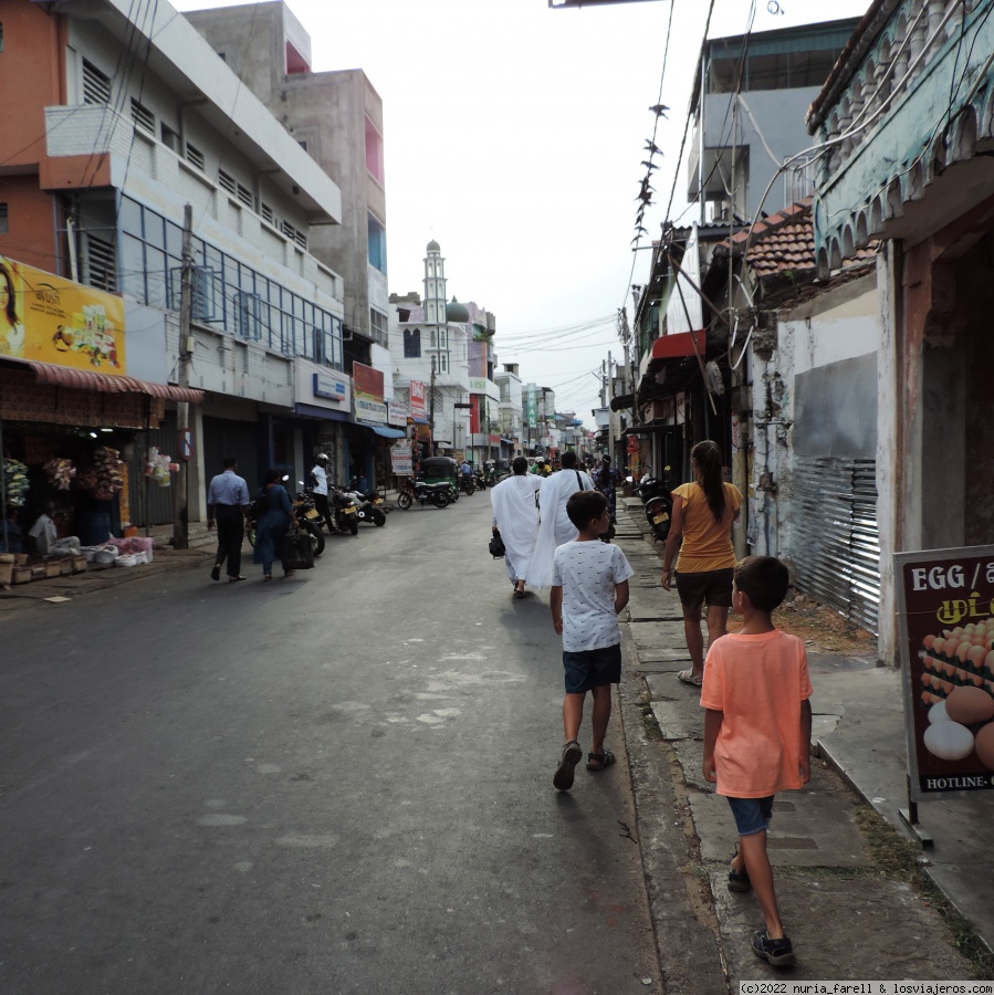 Dia 14: Tricomale - Sri Lanka con 2 niños (5)