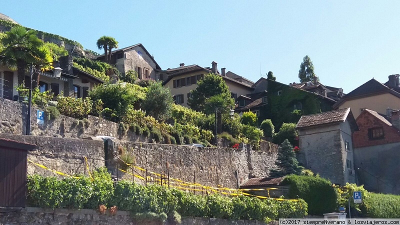 Foro de Montreux: Viñedos del LAVAUX (Vaud)