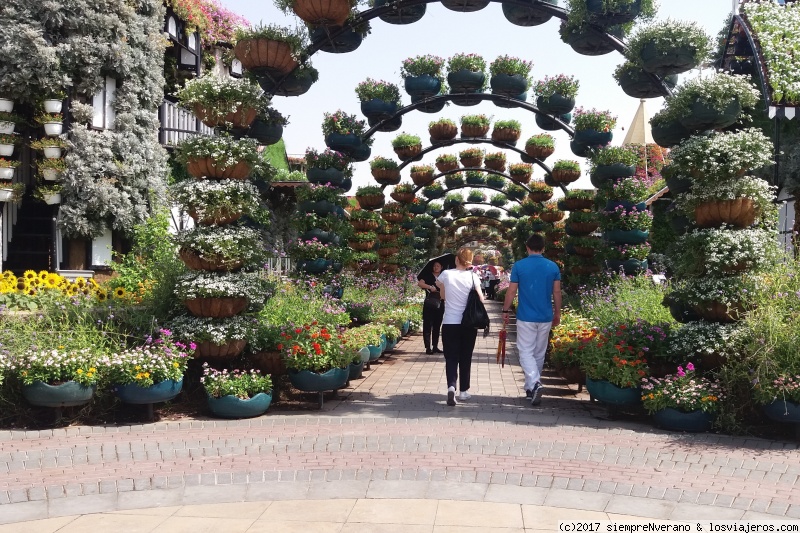 Foro de Oriente Medio: DUBAI MIRACLE GARDEN, el milagro de un jardín en el desierto