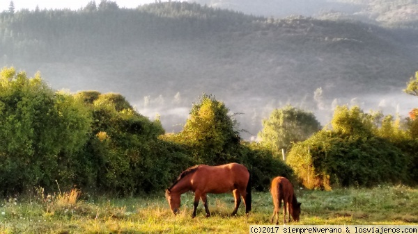 RARI 7a Reg
Últimos días del verano en el bucólico campo chileno. RARI está en la precordillera a unos 25 kms al noreste de Linares, al lado de balnearios termales. Aquí elaboran la centenaria artesanía con CRIN de múltiples colores, tb llamada RARI.
