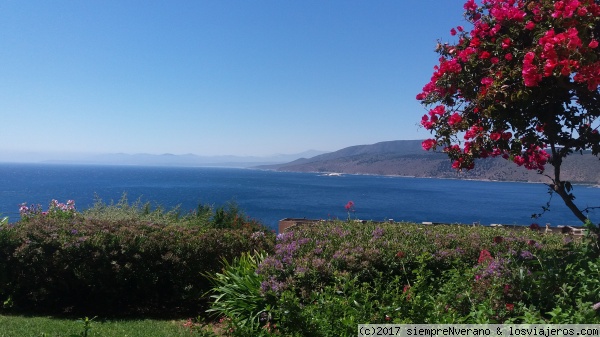 Verano austral en Pacífico Sur
Remanso de paz en la costa chilena durante el invierno boreal
