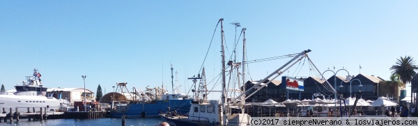 Puerto de ocio FREMANTLE, W.A.
Fremantle (FREO para los locales), es el principal puerto de WA, al estar situada en la desembocadura del río Swan, a media hora de Perth. Esta pequeña ciudad 