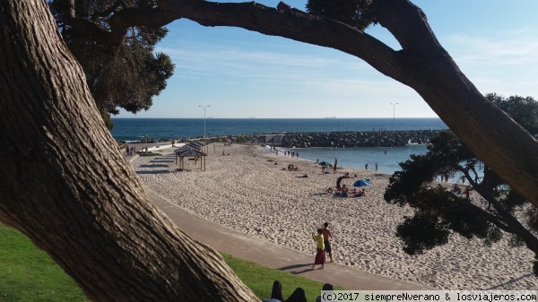 COTTESLOE Beach, Perth, W.A.
Fue reconocida por Lonely Planet entre las mejores playas del mundo para disfrutar en familia. Está situada al suroeste de Perth, a escasos 20 minutos en tren en dirección al puerto de Fremantle. Tras una breve caminata por el encantador sector residencial llegas a este pequeño paraíso, bajando por terrazas llenas de césped, mesas de picnic y árboles - un lugar ideal para descansar - hasta una de las playas de ciudad más populares de toda Australia Occidental. Cuenta con arenas doradas, aguas cristalinas y constantes olas, para nadar y practicar deportes acuáticos. Además, es el lugar perfecto para observar una bella puesta de sol sobre en Océano Índico,  mientras degustas mariscos frescos y un buen vino del sureño Margaret River .
