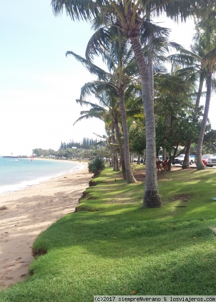 Plage d'ANSE VATA, NOUMÉA, Nueva Caledonia
NUMEA, ex-