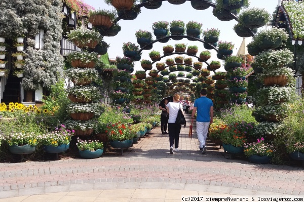 DUBAI MIRACLE GARDEN, el milagro de un jardín en el desierto
Situado en el desierto a 10 kms al sur de Al Barsha e inaugurado en 2013 alberga 45 mio de flores en 7hs . Tiene un sofisticado sistema de riego/fertilizantes directo a las raíces. Al aire libre la temp. alcanza 50 °C, siendo único en Oriente Medio. Adyacente al Miracle Garden se encuentra 
el atractivo mariposario 