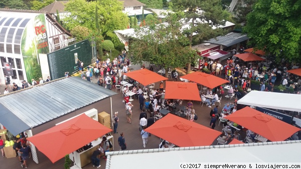 Roland Garros 2017 AMBIENTE
Imágenes de las primeras rondas de Roland Garros 2017
