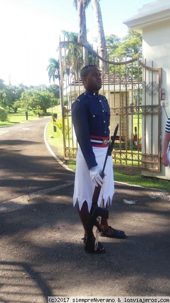 El Guardia del Palacio Presidencial, SUVA
El fiero guardia de Palacio que custodia al Presidente de FIYI
