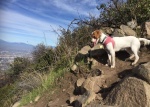 Ascenso al Cerro MANQUEHUE, Santiago