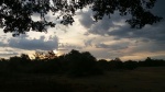 UDA WALABEE Ntl. Park sunset