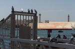 Los vigilantes del DUBAI CREEK