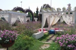 DUBAI MIRACLE GARDEN, el milagro de un jardín en el desierto