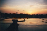 Día 7: 27 de junio Amanecer en el templo Borobudur