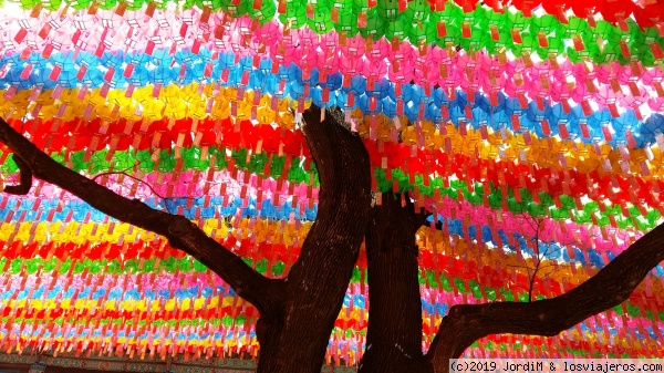 Colores
Los Farolillos de colores son el toque de alegria ante la severidad de los templos Budistas
