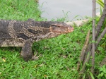 Lumpini Park