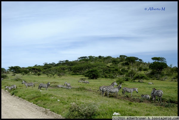 SERENGETI
Parque Nacional del Serengeti
