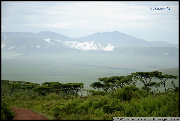 NGORONGORO
Cráter del Ngorongoro (Febrero 2010)
