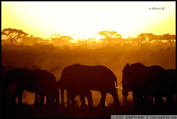 Viajar a Kenia: safaris, rutas y consultas generales - Foro África del Este