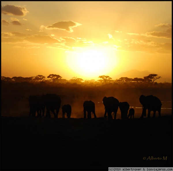 AMBOSELI
Parque Nacional Amboseli (Septiembre 2008)
