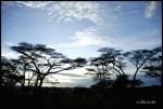 NDUTU
NDUTU, Ndutu, Parque, Nacional, Serengeti, exterior