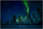 Aurora en Laponia
Aurora boreal, Laponia, Finlandia,