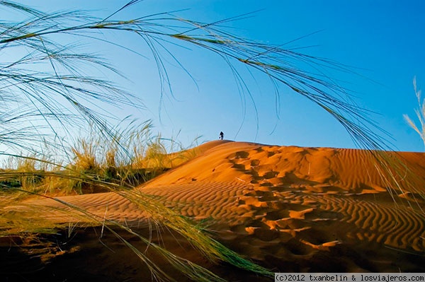 Una vuelta en Namibia bastante exhaustiva (15 días)