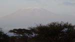 Kilimanjaro
Kilimanjaro, Amboseli, desde