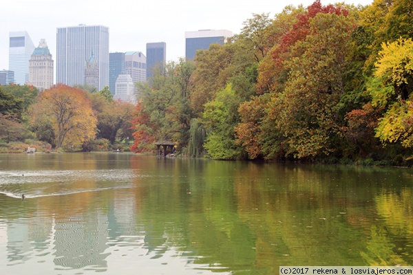 central park en Nueva York
paisaje otoñal de éste espectacular parque mientras paseábamos que casi nos hace olvidar del pedazo ciudad que nos rodeaba..jeje
