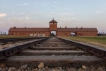 Auschwitz II (Birkenau)
Auschwitz, Birkenau, foto, hice, desde, parte, interior, entrada, campo, concentracion