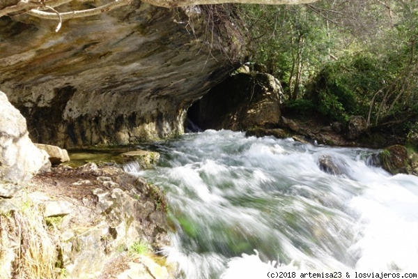 NACIMIENTO DEL RÍO CUERVO.
El acceso al mirador de la gruta en la que nace el río Cuervo estaba muy complicada por la nieve, el barro, el agua y los troncos que cortaban los senderos. Pero merecía la pena para contemplar unas cascadas realmente espectaculares.
