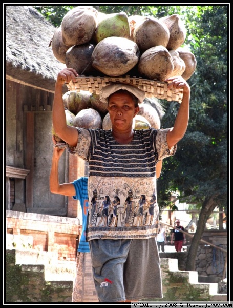 DURO ESFUERZO
Mujeres transportando cocos sobre su cabeza, en Tenganan (BALI)
