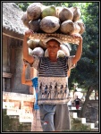 DURO ESFUERZO
DURO, ESFUERZO, Mujeres, Tenganan, BALI, transportando, cocos, sobre, cabeza