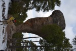 El Tormo Alto en la Ciudad Encantada (Cuenca)