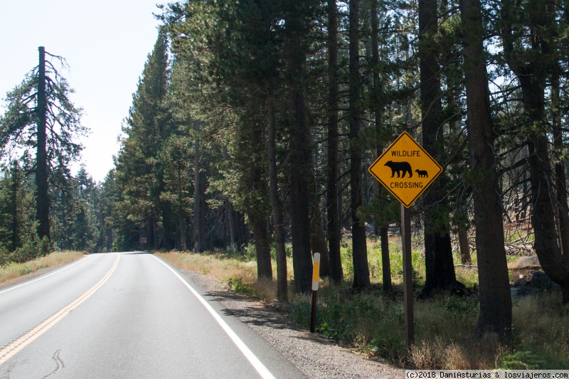 Yosemite - 3000 Millas de viaje por el Oeste de USA (1)