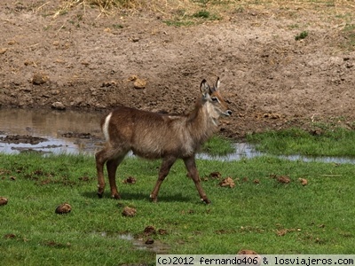 Tarangire National Park
Tarangire National Park
