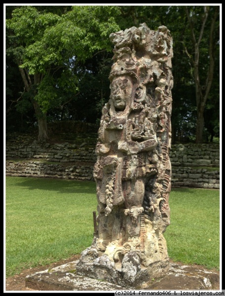 Copan Ruinas
Los artistas de Copán esculpieron las imágenes de la dinastía reinante en columnas de piedra para representar un “bosque de reyes”.
El gobernante más famoso de Copán, Waxaklajun Ub’ah K'awil, popularmente conocido como 18 Conejo, fue capturado y decapitado en la plaza de Quiriguá.
