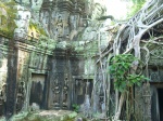 Ta Prohm (Templo de las Raices) Camboya